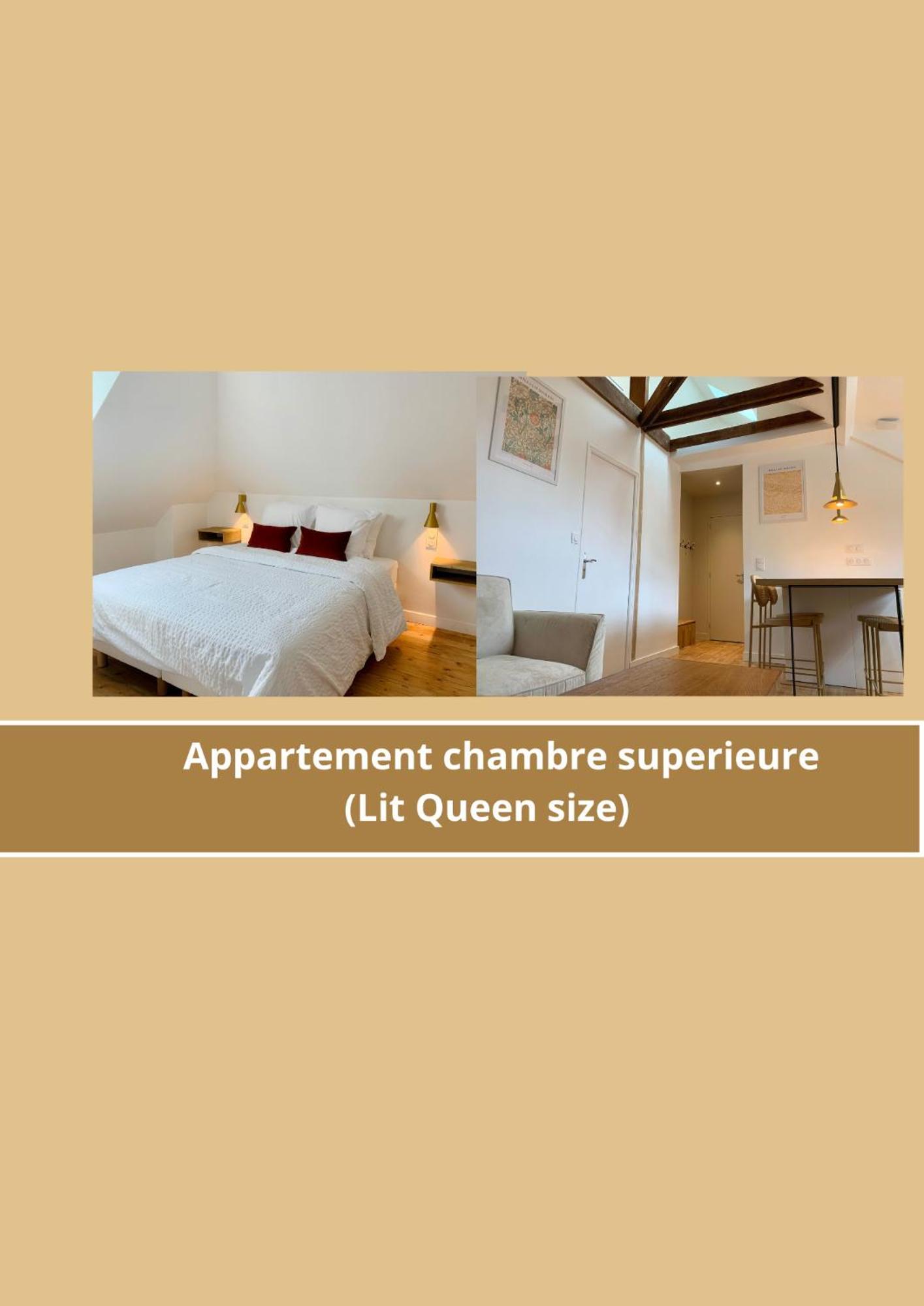 La Belle Odet' - Choix D'Appartements- Centre Ville-Quais Кимпер Екстериор снимка